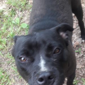 Meet your Posher, Quincy