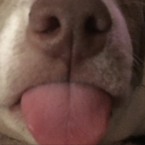 Meet your Posher, Matthew - Picture 1 of 1