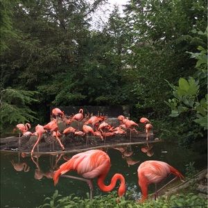 Meet your Posher, Lilly