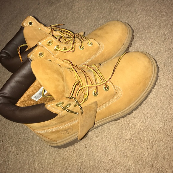 Timberlands - Picture 3 of 4