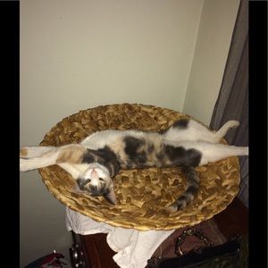 Meet your Posher, Sandra