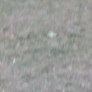 Meet your Posher, Sky