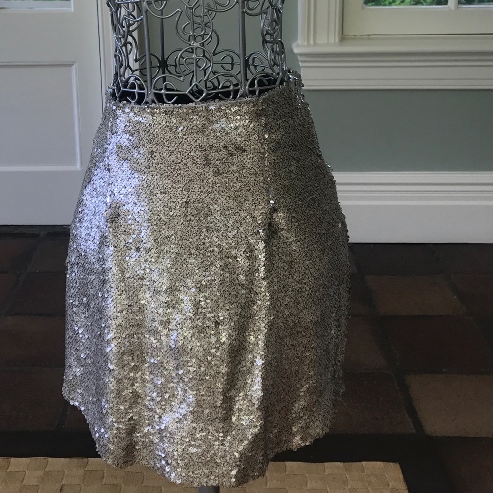 NWT silver skirt