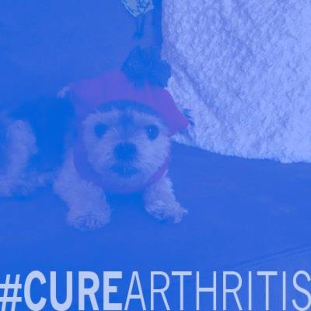 Meet your Posher, Noreen