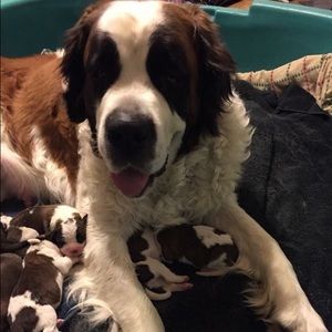 Meet your Posher, Kaylee