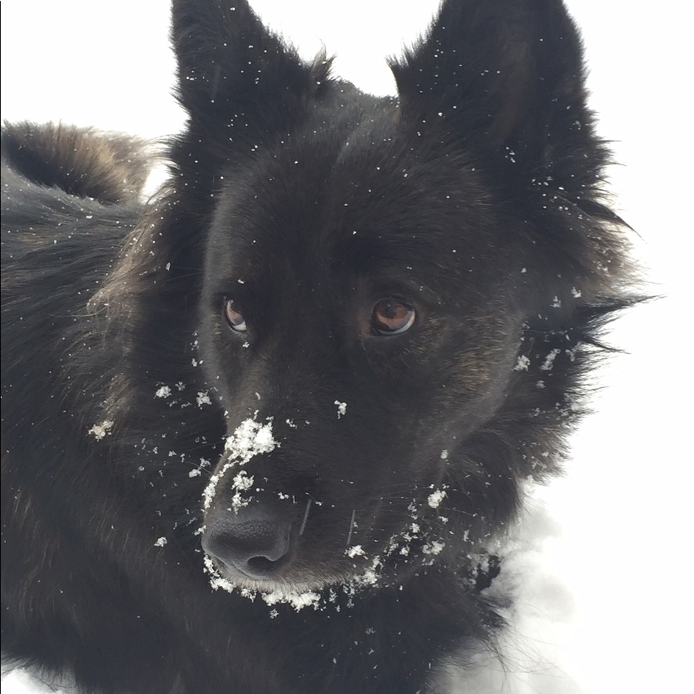 Meet your Posher, Melinda