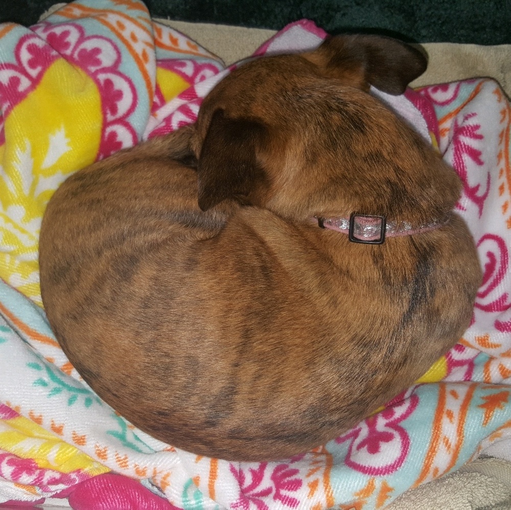 Meet your Posher, Penney