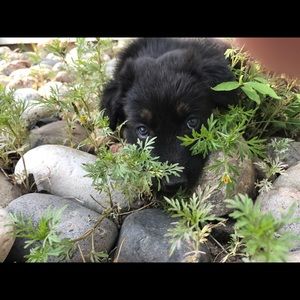 Meet your Posher, Michelle