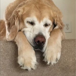 Meet your Posher, Meghan