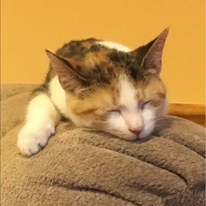 Meet your Posher, Matthew