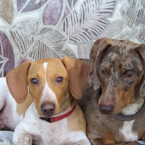 Meet your Posher, Lorraine