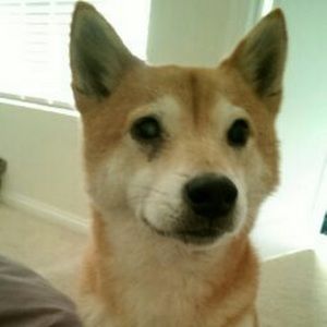 Meet your Posher, Marc