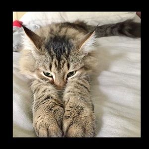 Meet your Posher, Carolyn