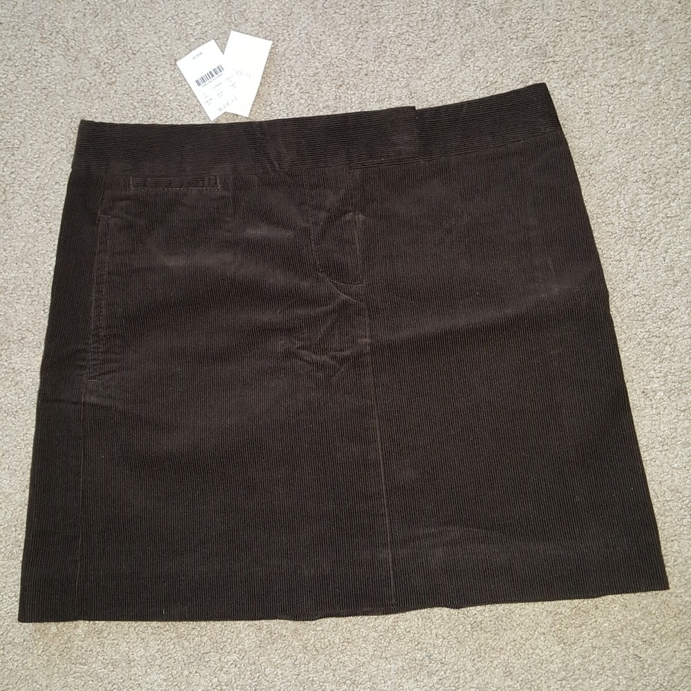 NWT J Crew skirt