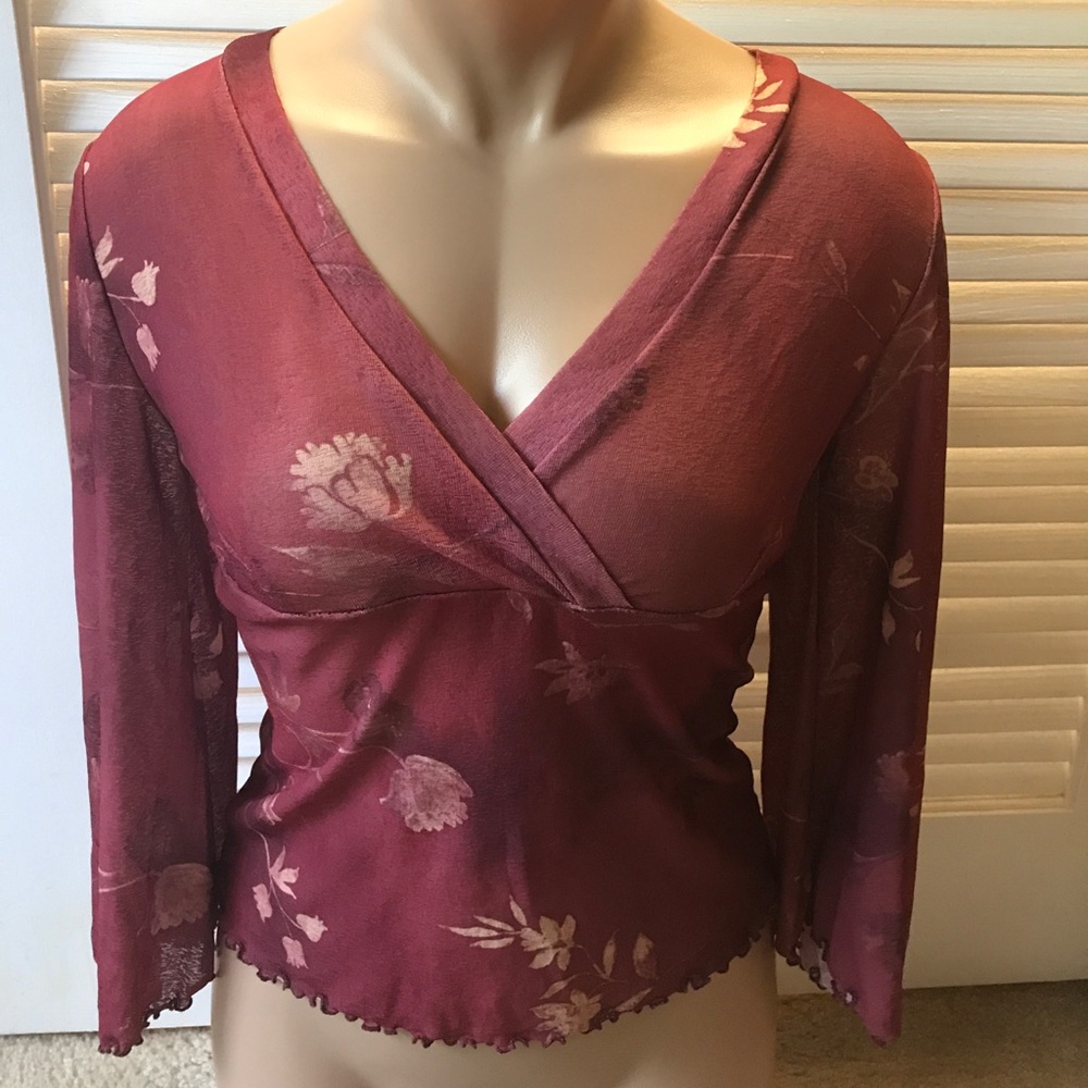 V Neck sheer blouse