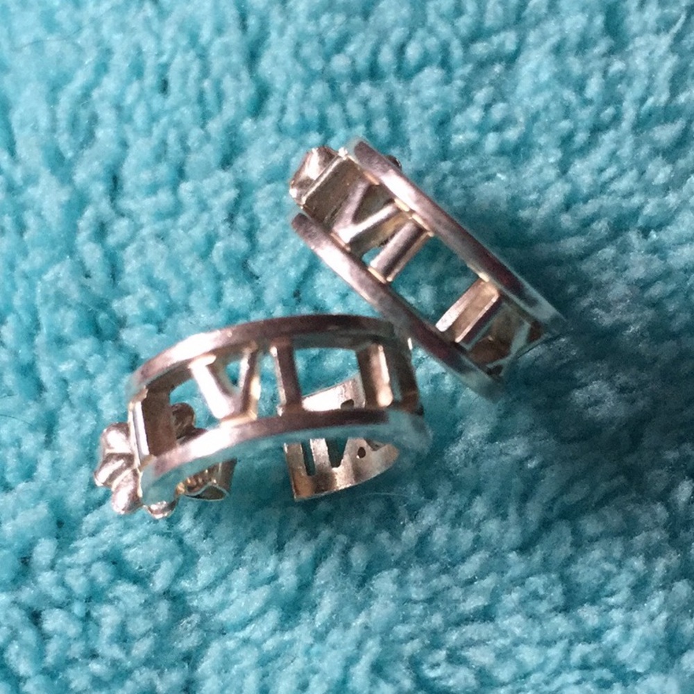 Tiffany & co. Earrings