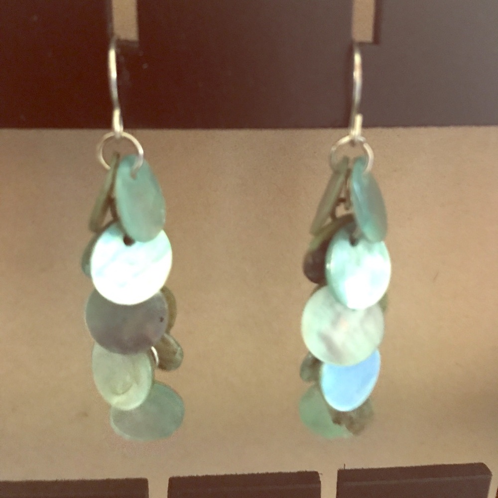 Abalone earrings
