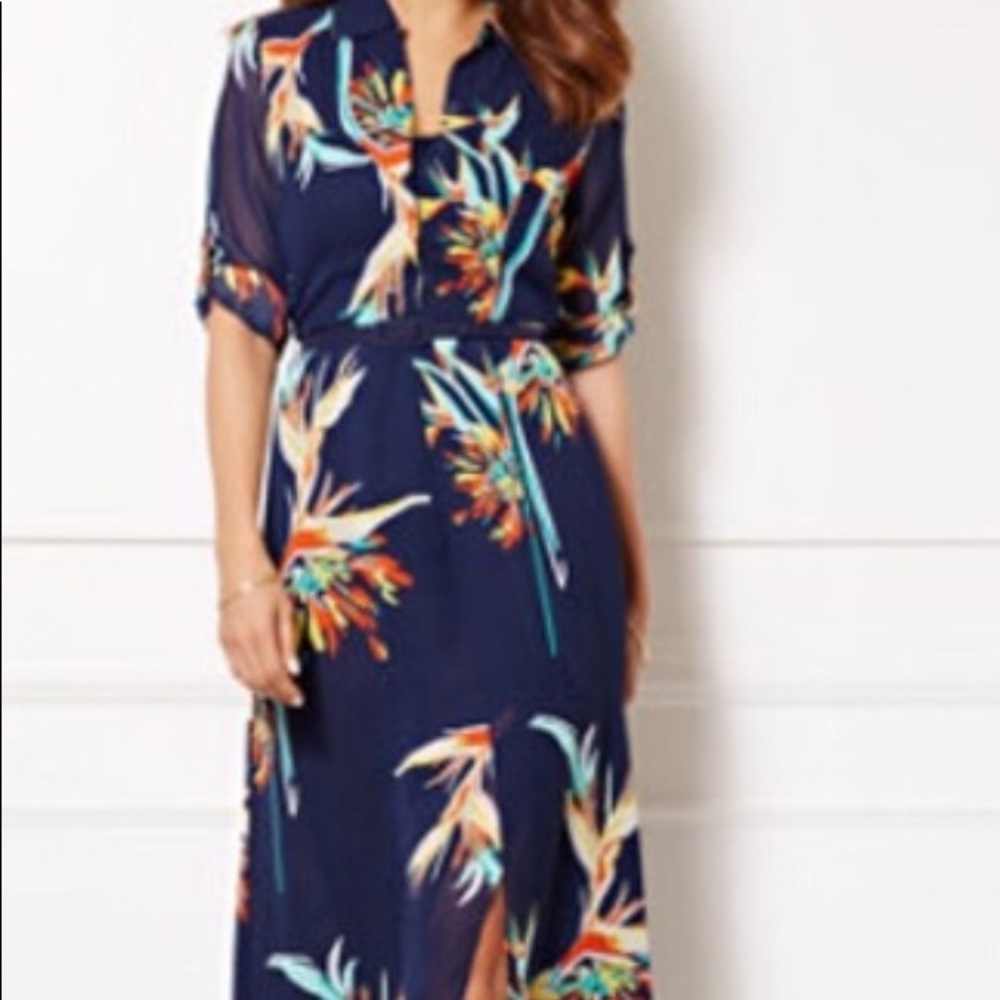 Eva Mendes Birds of Paradise Maxi Dress
