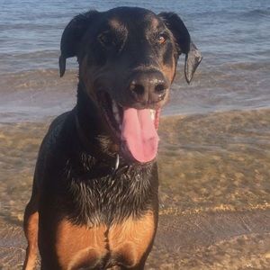 Meet your Posher, Jamie