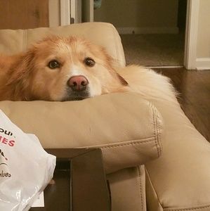 Meet your Posher, Elisa