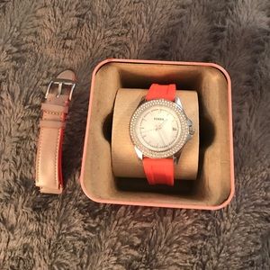 EUC FOSSIL WATCH
