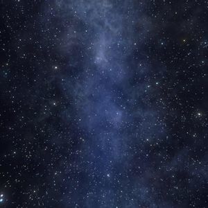 Meet your Posher, Jaden