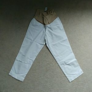 LOFT maternity pants NWT