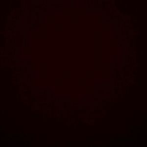 Meet your Posher, Terryann