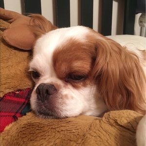 Meet your Posher, Kim