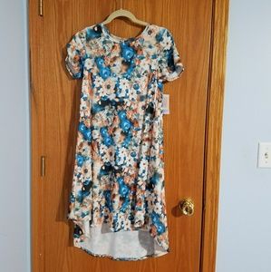 NWT LuLaRoe Carly dress xxs