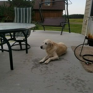 Meet your Posher, Sherry