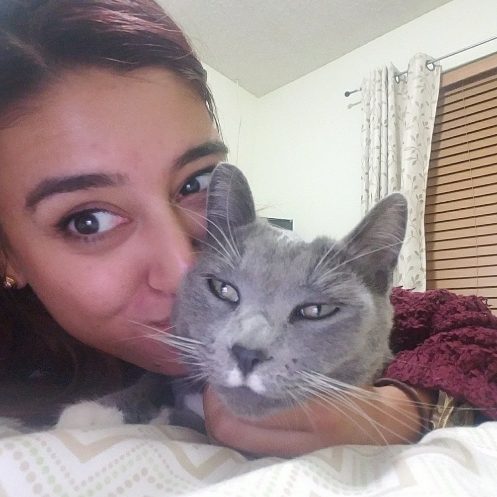 Get to know where your money is going towards