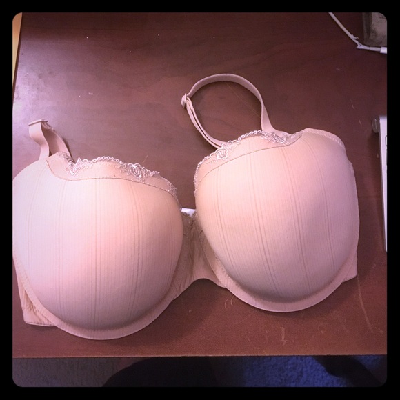 panache porcelain viva bra