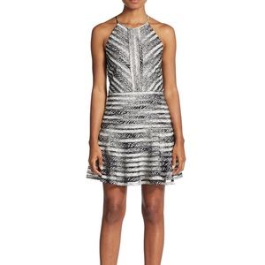 NWT ✨PRICE DROP FINAL✨ Parker fit n flare dress!