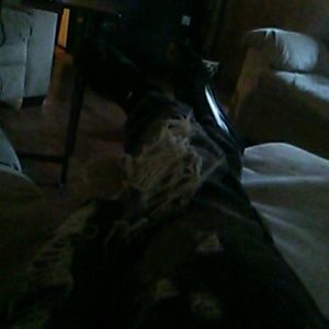 Meet your Posher, Sidney