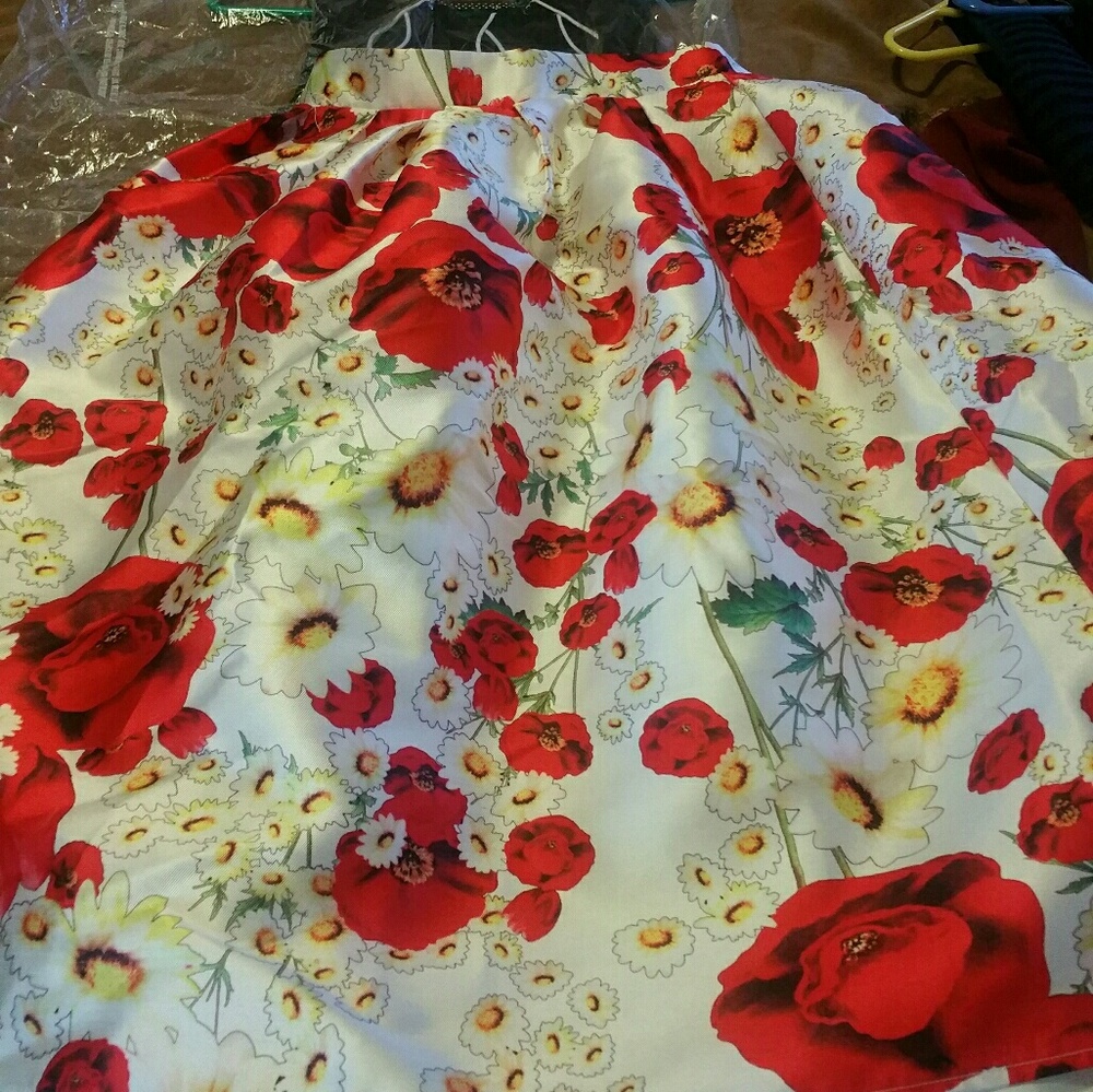 Skirt nwot