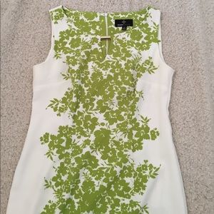 Knee length sheath dress