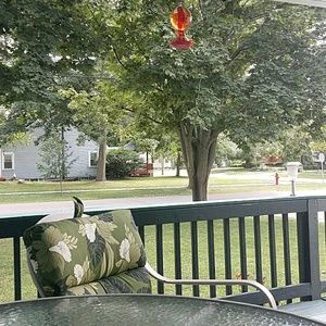 Meet your Posher, Barb