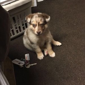 Meet your Posher, Ellie