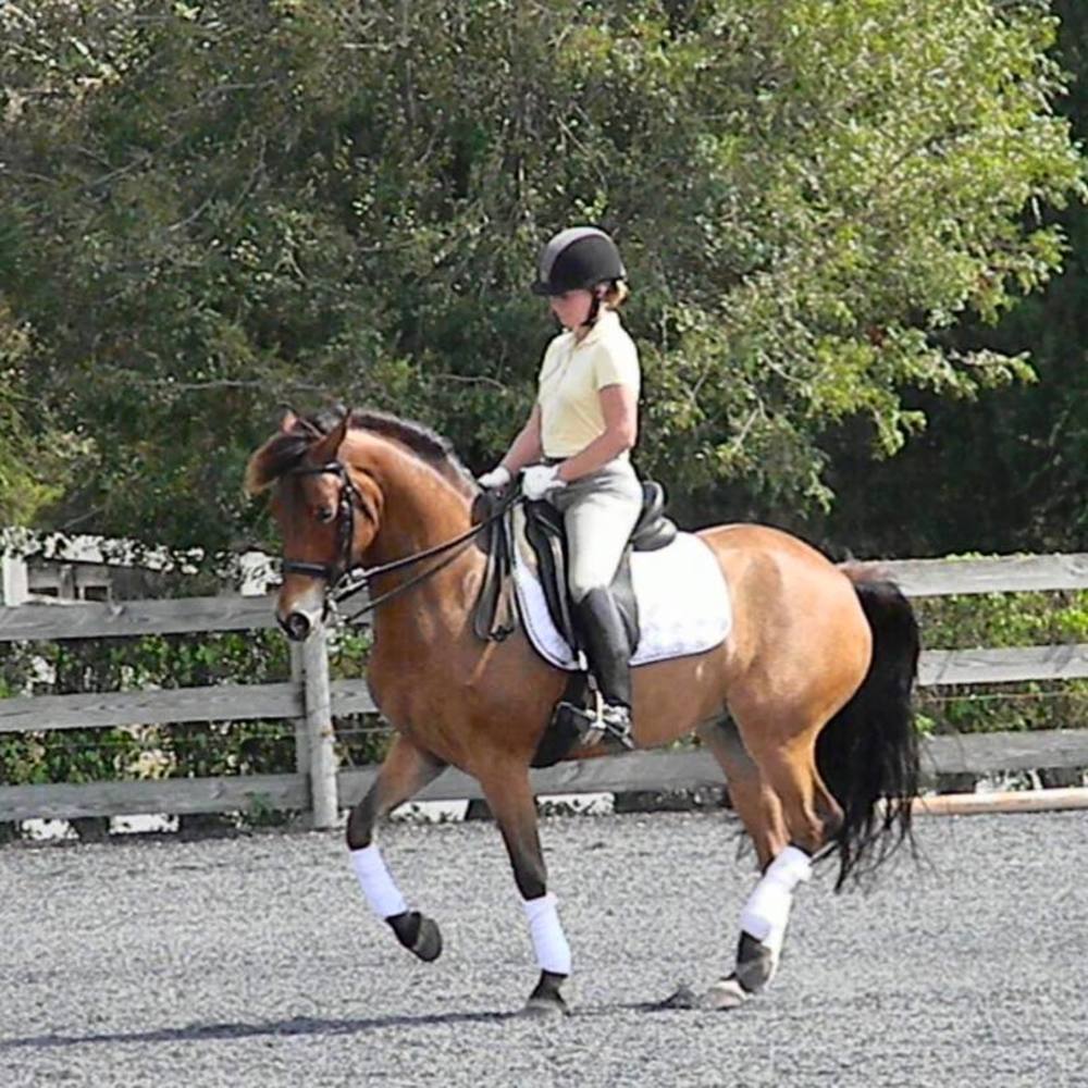 Meet your Posher, Audrey