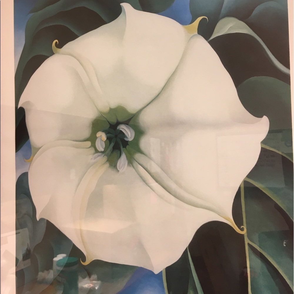 Meet your Posher, Sr