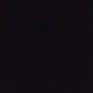 Meet your Posher, Gavin