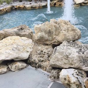 Meet your Posher, Joanne