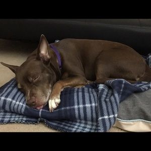 Meet your Posher, Ngoc