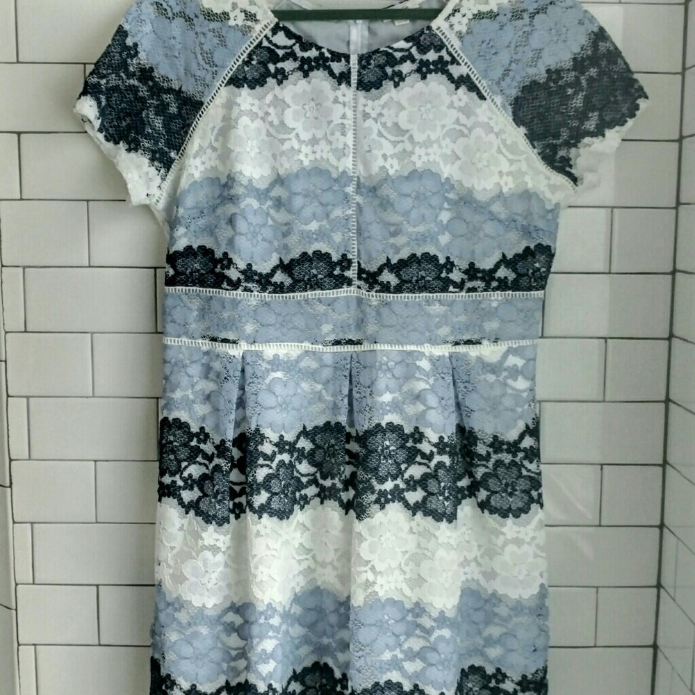 Pinky Lace Ombre Tea Fit&Flare Dress