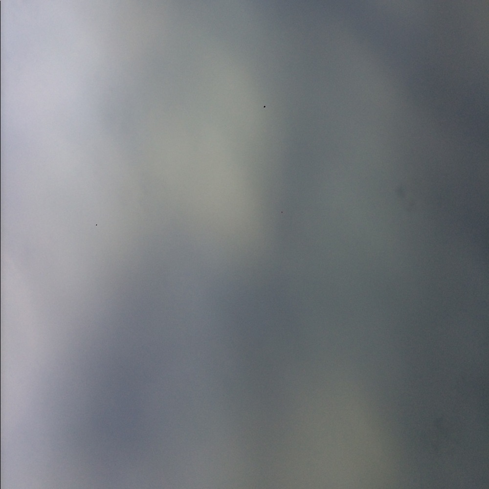 Meet your Posher, Kristin