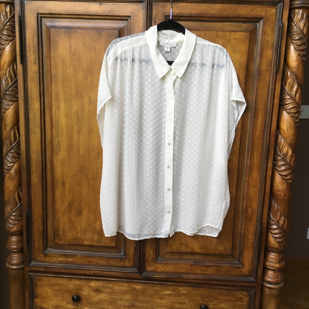 Sheer Coldwater Creek shirt.