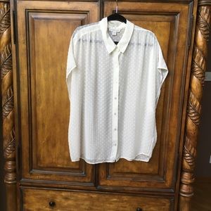 Sheer Coldwater Creek shirt.