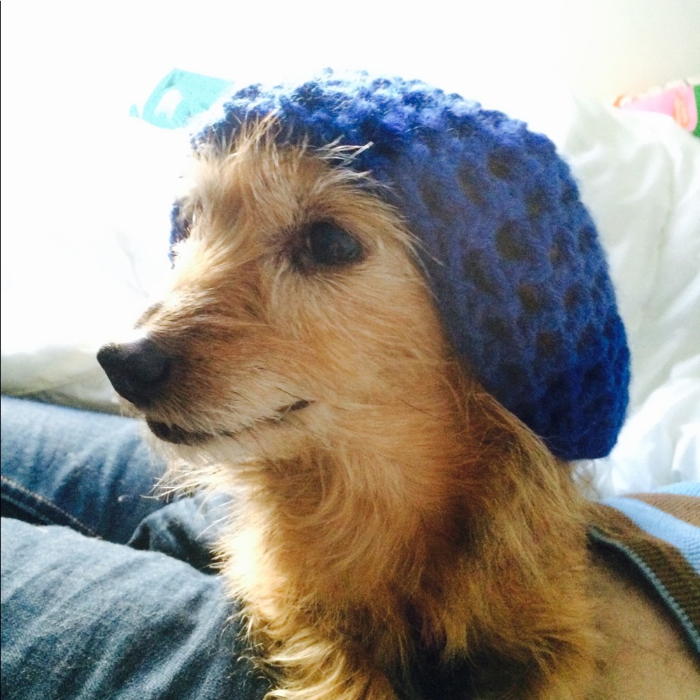 Meet your Posher, Siri