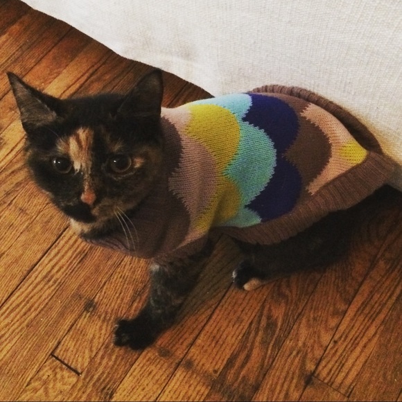 Meet your Posher, Siri - Picture 5 of 8